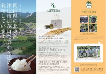あおやぎ農園様パンフレット制作