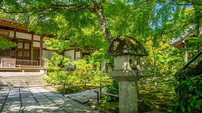 古民家移築再生、社寺仏閣設計施工を専門とする工務店（県外）様